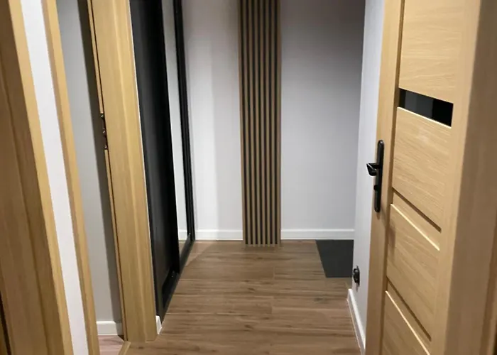 公寓 Przy Bloniach 2