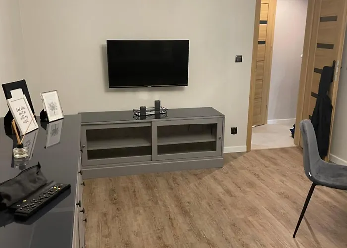 Apartament Przy Bloniach 2 *