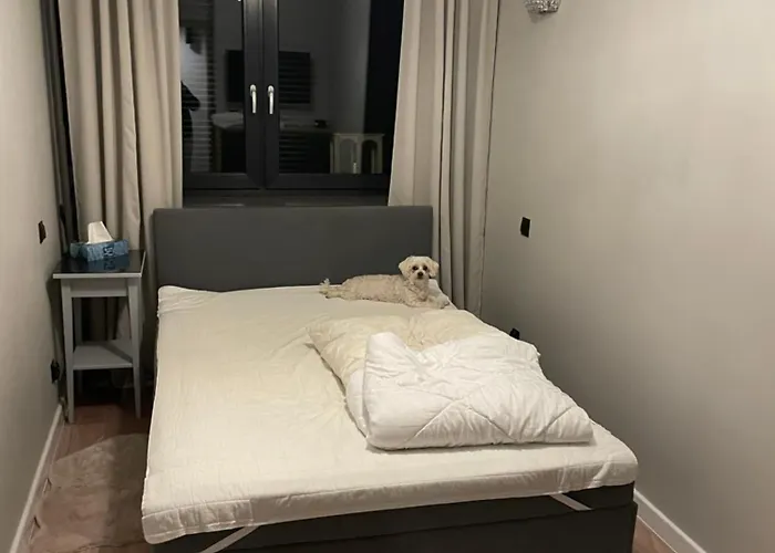 Przy Bloniach 2 Apartament