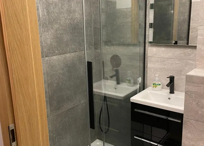 Przy Bloniach 2 公寓 什切青